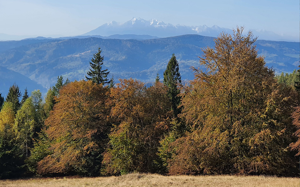 Widok na Tatry.